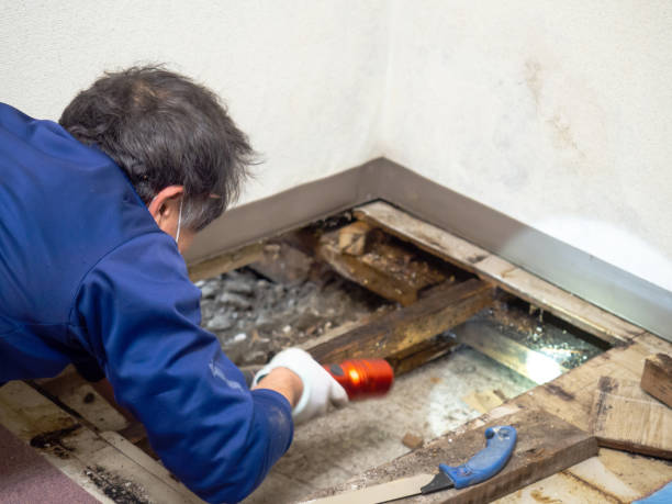 Best Local Mold Removal Service  in Sanatoga, PA