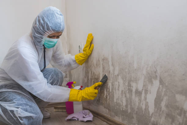 Best Residential Mold Removal  in Sanatoga, PA