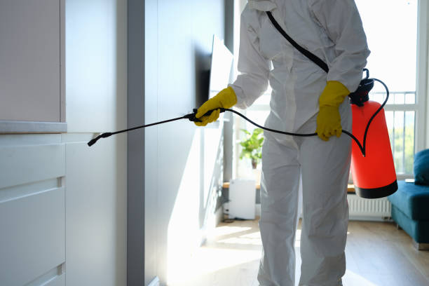 Best Crawl Space Mold Removal  in Sanatoga, PA
