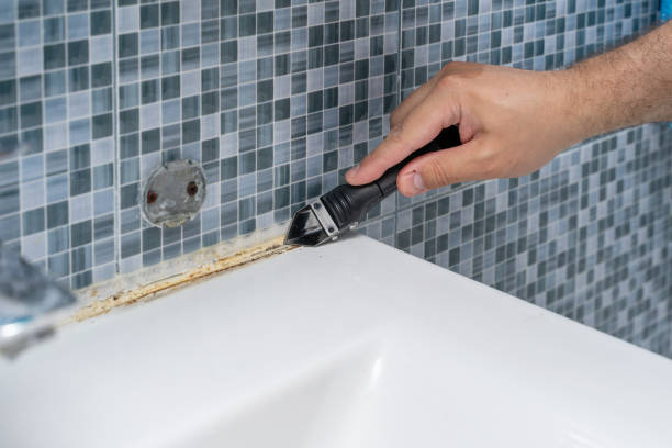 Best Mold Removal Specialists  in Sanatoga, PA
