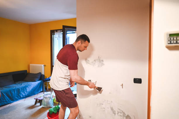 Best Office Mold Removal Services  in Sanatoga, PA