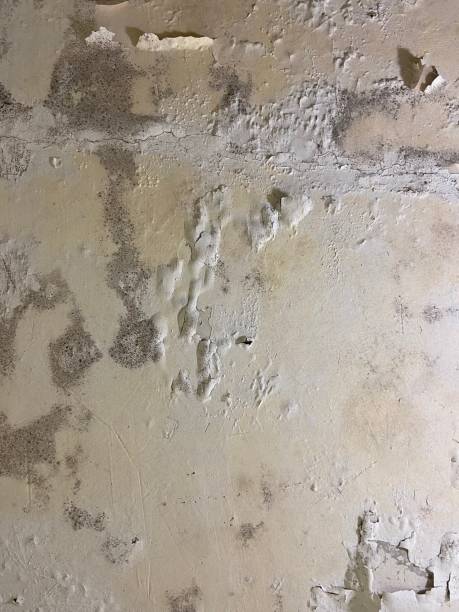 Best Mold Removal Near Me  in Sanatoga, PA