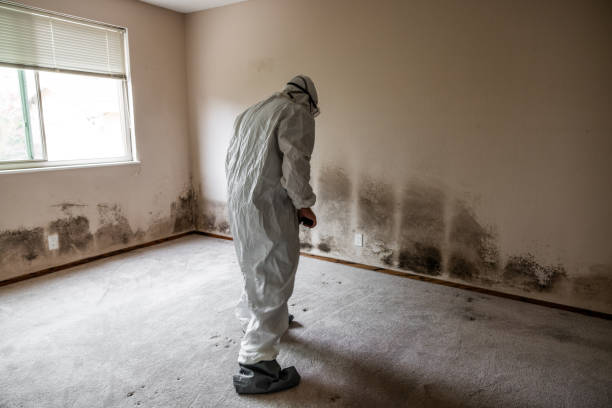 Best Mold Damage Repair  in Sanatoga, PA